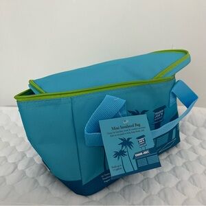 Trader Joe's Mini Insulated Bag